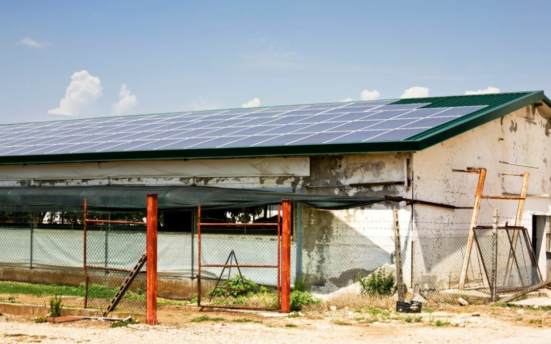 Bando agrisolare 2024: come ottenere l’80% a fondo perduto per impianti fotovoltaici