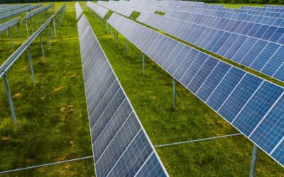 Affitta un terreno per il fotovoltaico. Una guida completa